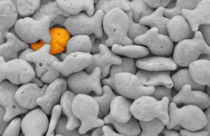 Celostna grafična podoba – si lahko privoščite biti brez nje?