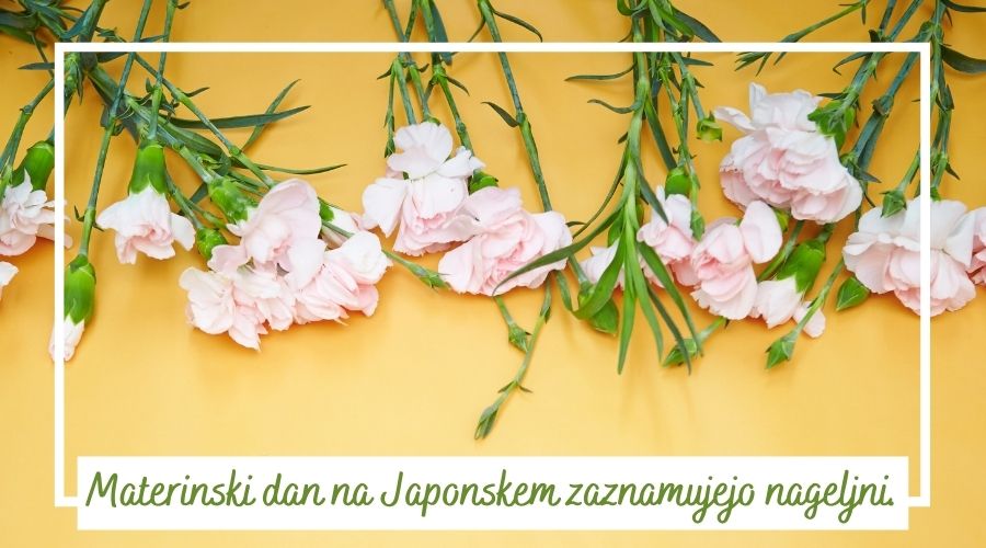 materinski-dan-praznovanje