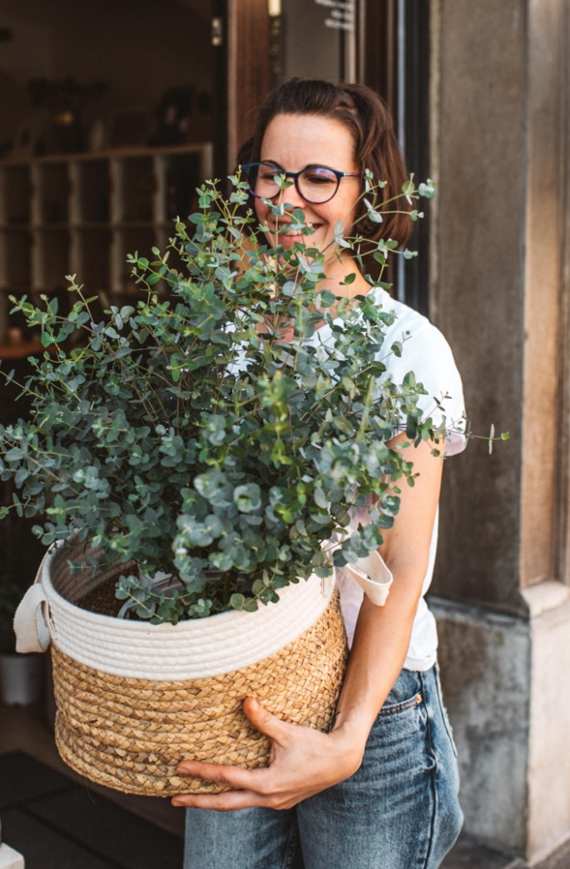 porocna-darila-evkaliptus